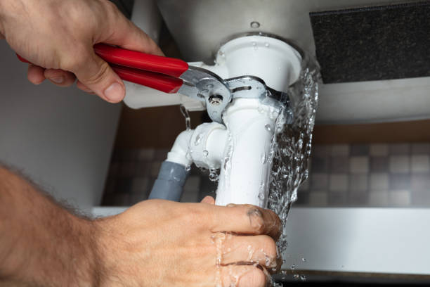 Best Water damage cleanup near me  in Colonial Pine Hills, SD