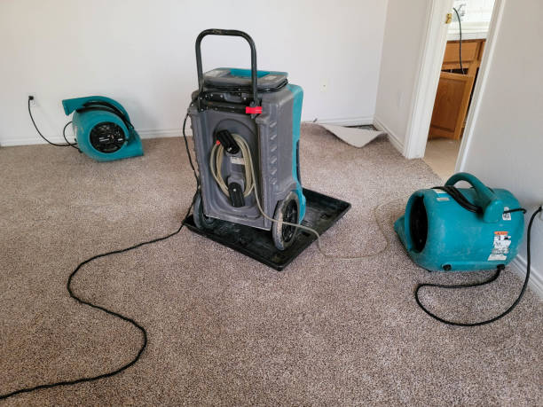 Best Basement water damage restoration  in Colonial Pine Hills, SD