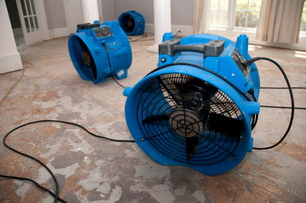 Best Fire Damage Restoration  in Colonial Pine Hills, SD