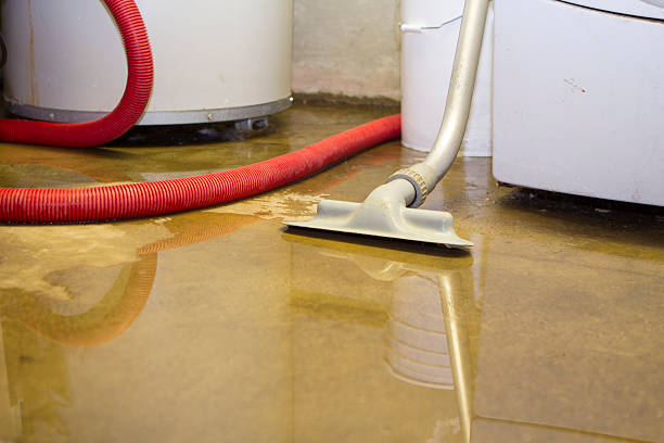 Best Carpet water damage restoration  in Colonial Pine Hills, SD